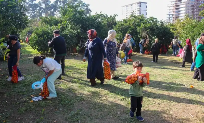 Hatay'da Narenciye Festivali Düzenlendi