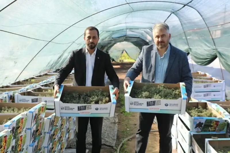 HBB’den Yerel üreticiye Fide Desteği