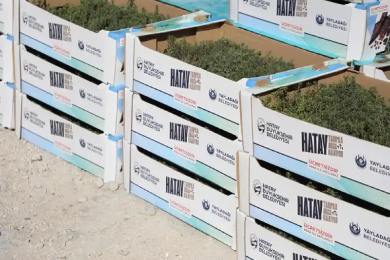 HBB’den Yerel üreticiye Fide Desteği