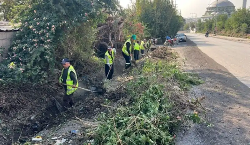 HATSU, 53 Kamyon Atık çıkardı