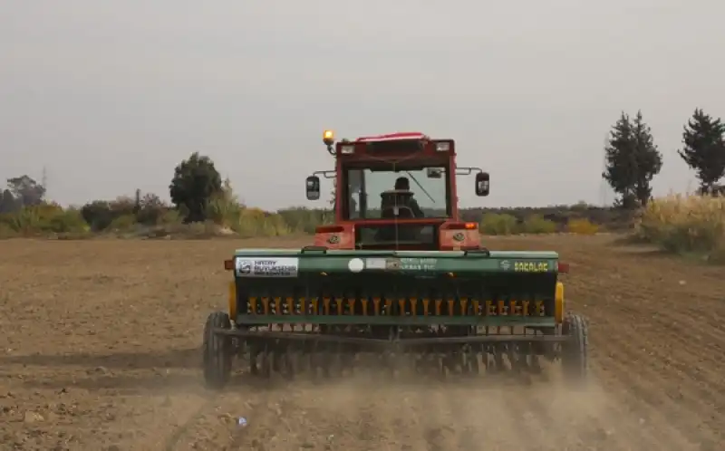 Antakya'da Tarım Lisesi öğrencileri Buğday Tohumlarını Toprakla Buluşturdu 