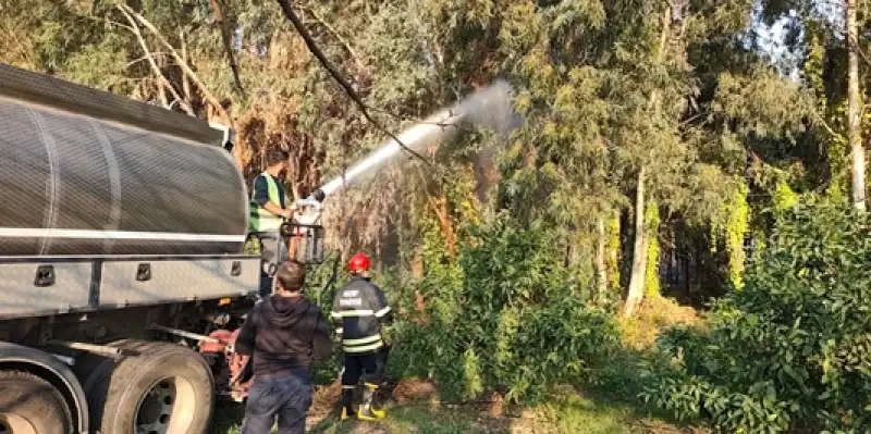 Hatay Erzin'de Ağaçlık Alanda çıkan Yangın Yayılmadan Söndürüldü