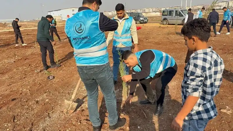 Ülkü Ocaklarından Başbuğ Türkeş’e Vefa: 108 Fidan Dikildi