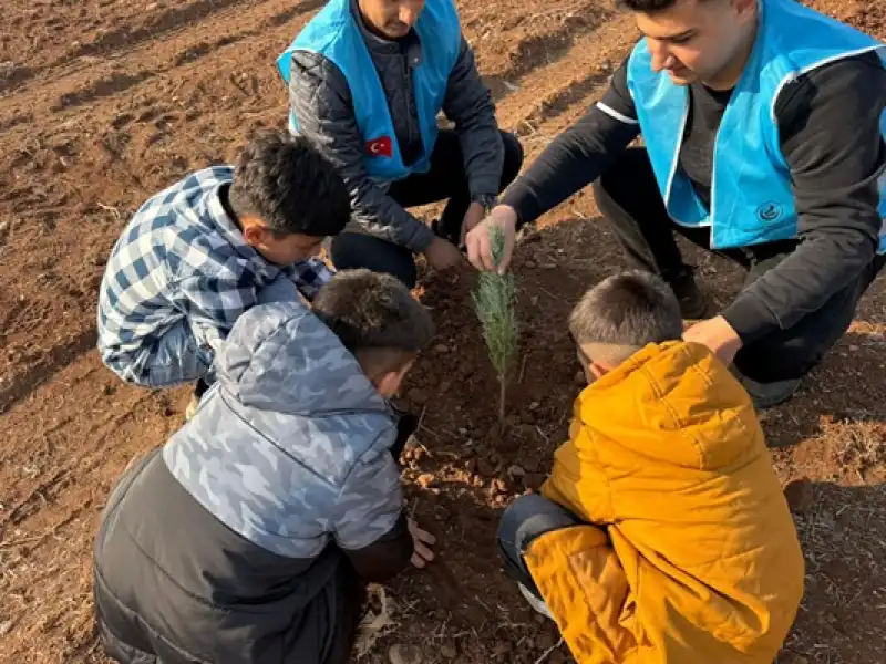 Ülkü Ocaklarından Başbuğ Türkeş’e Vefa: 108 Fidan Dikildi