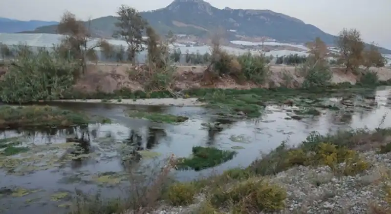 Taşkın Alanlarının Kaybı Kentleri Savunmasız Bırakıyor