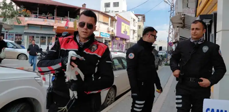 Hatay'da Polis Ekiplerinin Bulduğu Yaralı Ak Balıkçıl Tedaviye Alındı