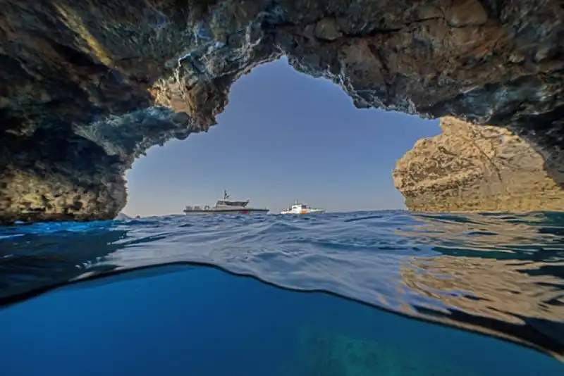 Doğu Akdeniz'in Derinliklerine Inen Dalgıçlar Canlıların Renkli Dünyasını Görüntüledi