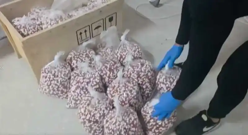 Hatay Dahil 72 Ilde Zehir Tacirleri Tek Tek Yakalandı!