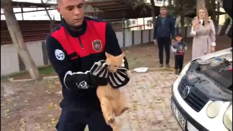 Otomobilin Motor Bölümündeki Kedi Kurtarıldı!