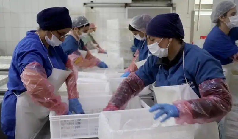 Kadın Girişimci Geliştirdiği E-ticaret Platformuyla Yöresel Lezzetleri Tüketicilere Ulaştırıyor