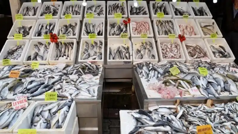 Ocak Ayında Balık Bolluğu: En Lezzetli Türler Ve Doğru Tüketim Rehberi