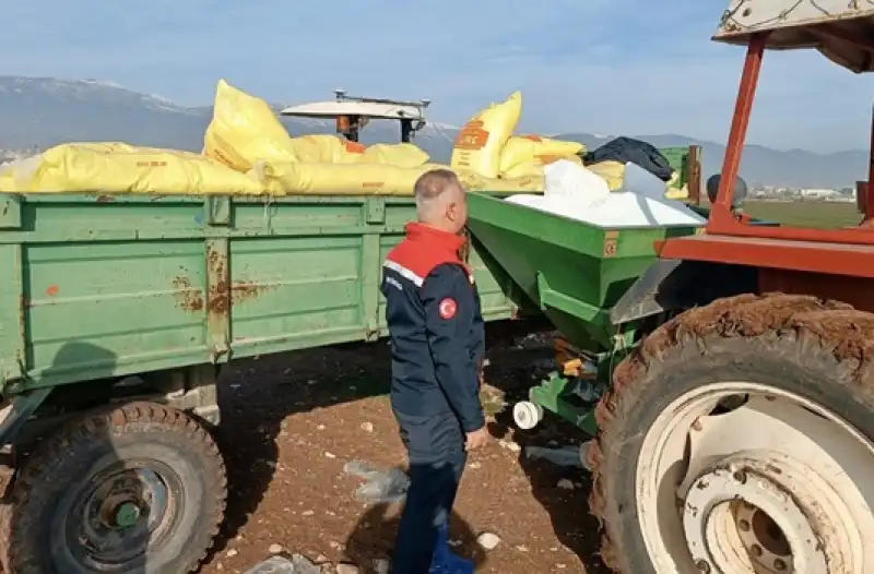 Hatay’da Buğday Tarlaları Yeşillendi!