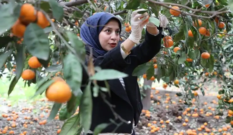 Öğrenciler Topladı, HBB Dağıttı