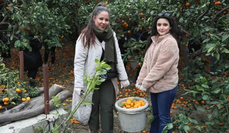 Öğrenciler Topladı, HBB Dağıttı
