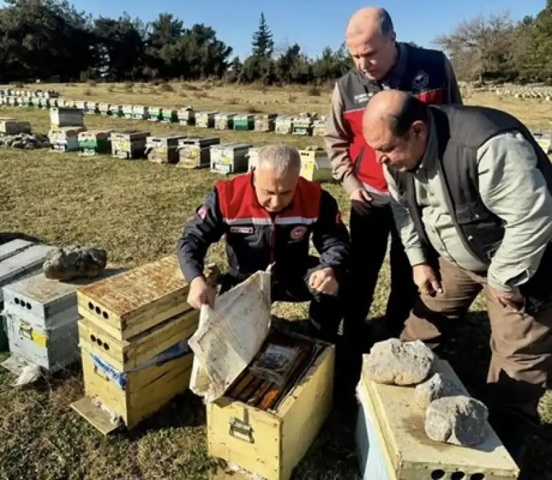 Hatay’da Arıcılığa 