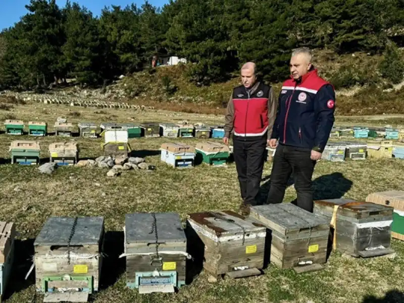 Hatay’da Arıcılığa