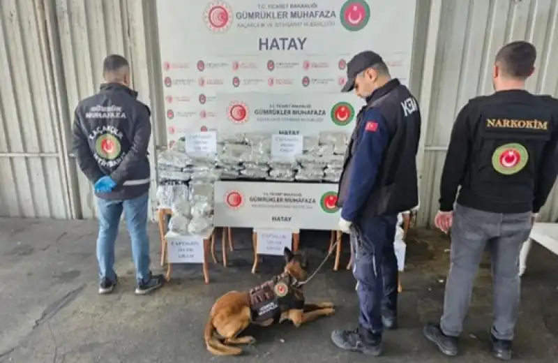 İskenderun Limanı'nda Rekor Operasyon: 1.3 Milyon Adet Uyuşturucu Hap Ele Geçirildi!