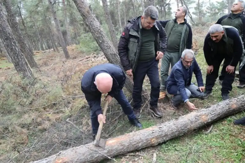 Hatay Ormanları İçin Stratejik Adım