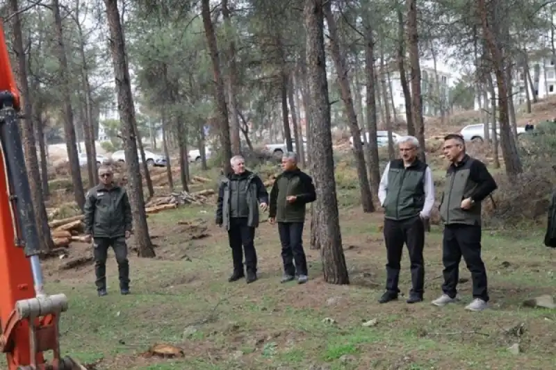 Hatay Ormanları İçin Stratejik Adım