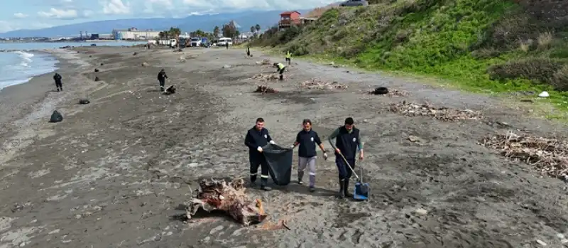 Payas Ve Arsuz Sahilinde Biriken Atıklar Temizlendi