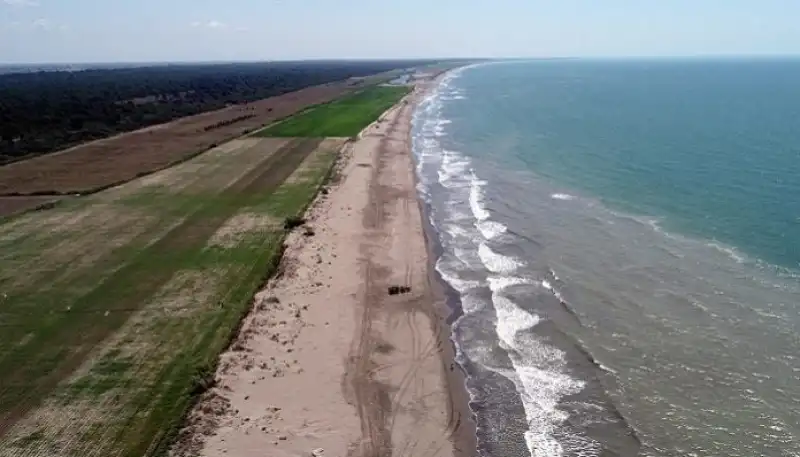 Burnaz Kumsal’ında Tehlike Altındaki Tür İçin Koruma Çağrısı