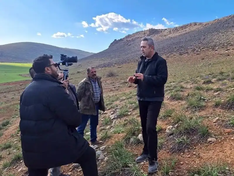 Hatay’da Çizgili Sırtlan Araç Çarpmasıyla Hayatını Kaybetti