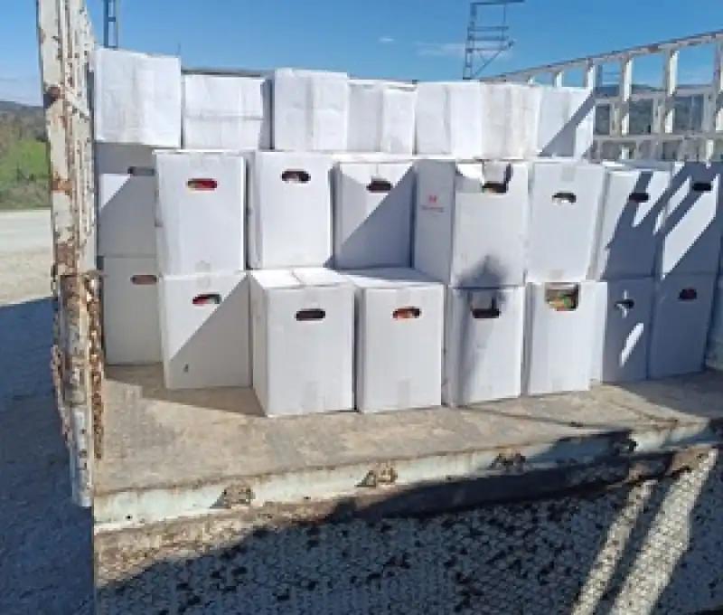 Ankara’dan Hatay’a Gönül Köprüsü Uzandı