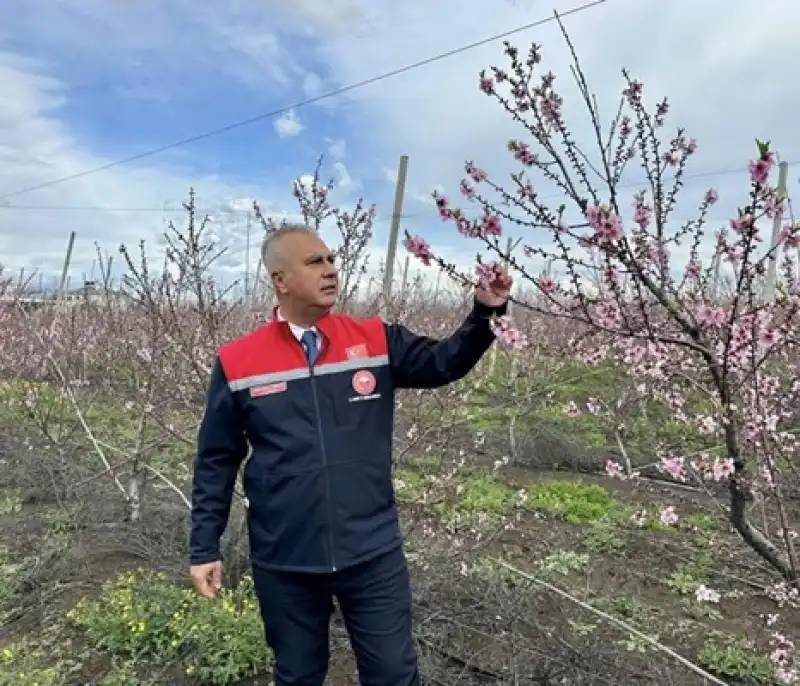 Meyve Bahçelerinde Kritik Takip