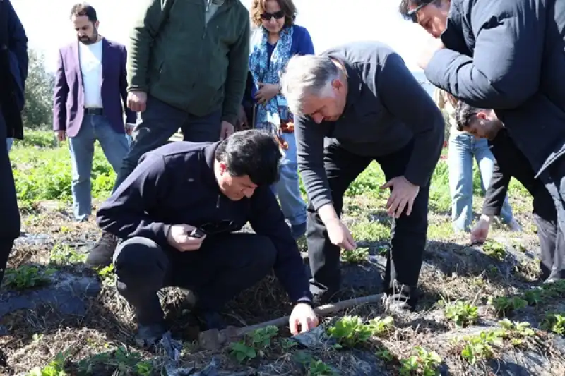 HBB çilek Yetiştiriciliği Kursu Verdi