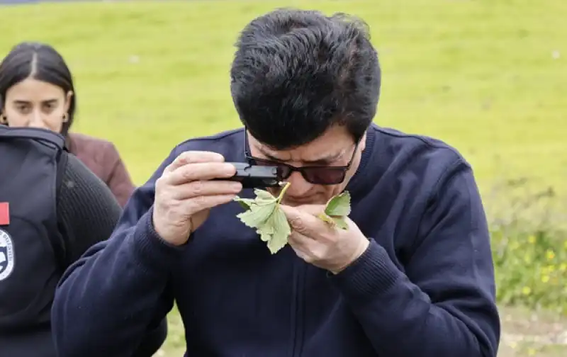 HBB çilek Yetiştiriciliği Kursu Verdi