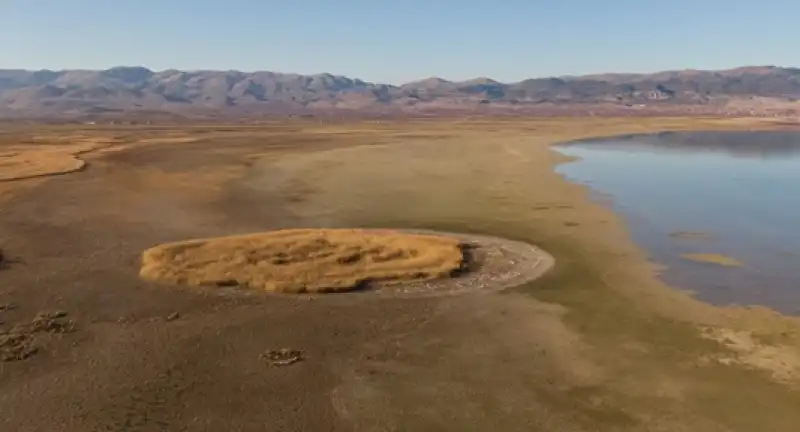 Küresel Su İflası Geliyor: Çözüm Ormanları Korumakta