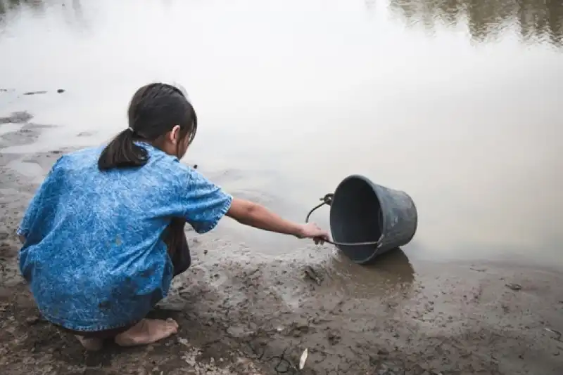 Küresel Su İflası Geliyor: Çözüm Ormanları Korumakta