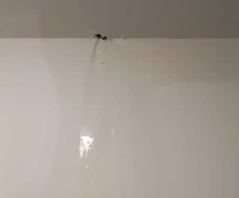 Gülderen TOKİ Konutları’nda Sağanak Alarmı: “artık Güvenlik Meselesi”