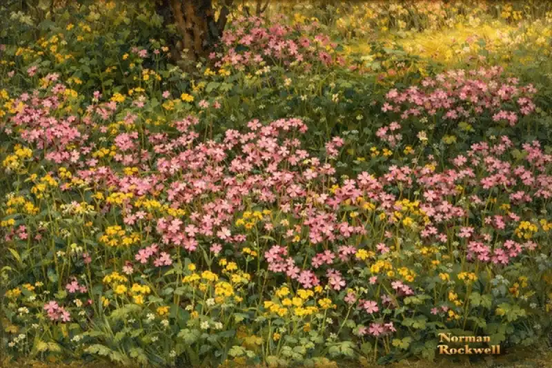 Altınözü’nde Bahar Renkleri Göz Kamaştırıyor