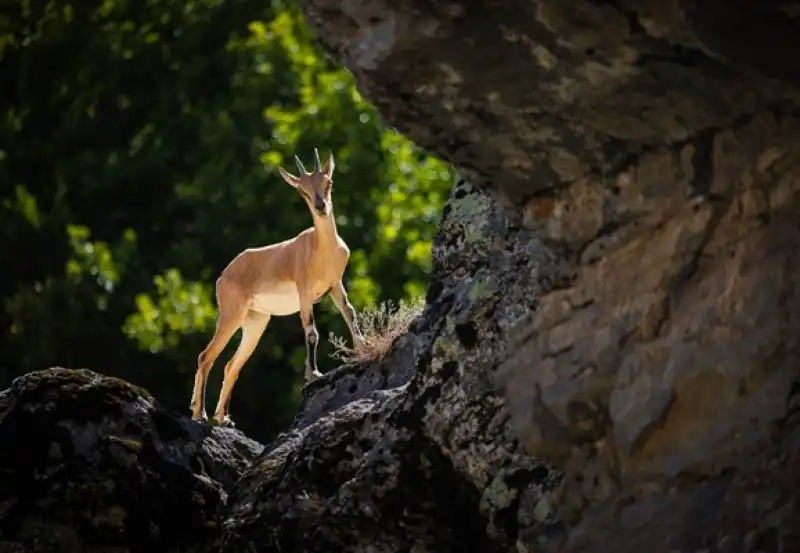 İşte, Fotoğraflarla Türkiye’nin Güzellikleri