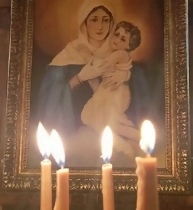 Prof. Dr. Sedat Cereci’nin Yortular Belgeselinin Prömiyeri Mersin’de