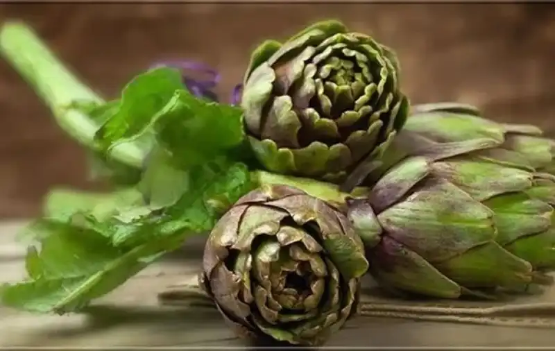 TÜKD Hatay Şubesi, Ata’nın “Yarım Kalan” İsteğiyle Vefa Borcunu Ödedi