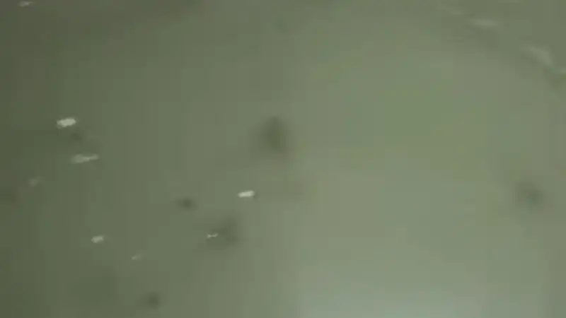 Sağanak Yağışlarda TOKİ Konutları Sular Altında Kaldı