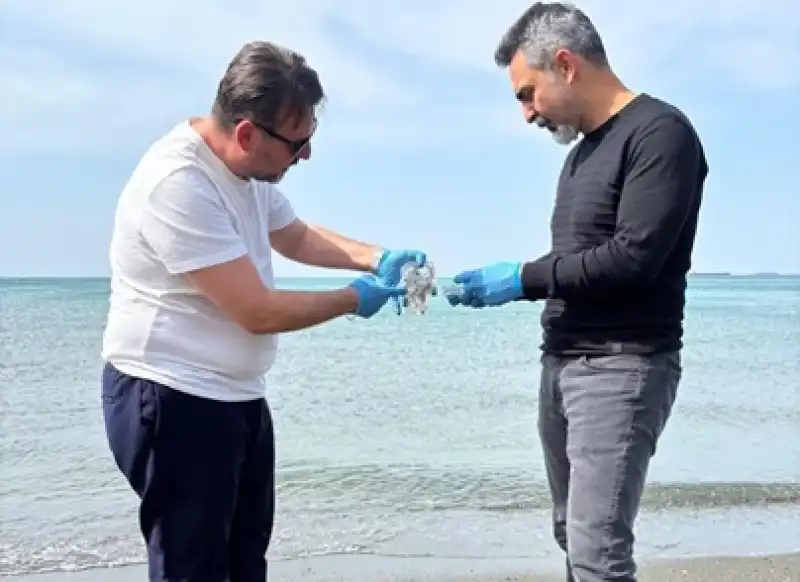 İSTE’den İskenderun Körfezi’nde Denizanası Yoğunluğu İncelemesi