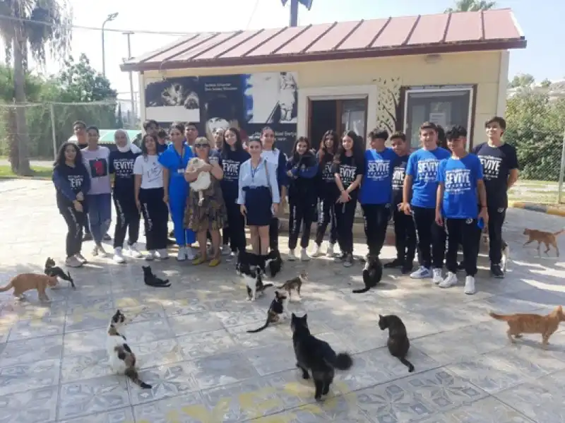 HBB Kedi Bakım Ve Rehabilitasyon Merkezi Sokak Canlarına Umut Oluyor