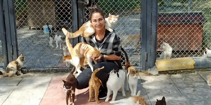 HBB Kedi Bakım Ve Rehabilitasyon Merkezi Sokak Canlarına Umut Oluyor