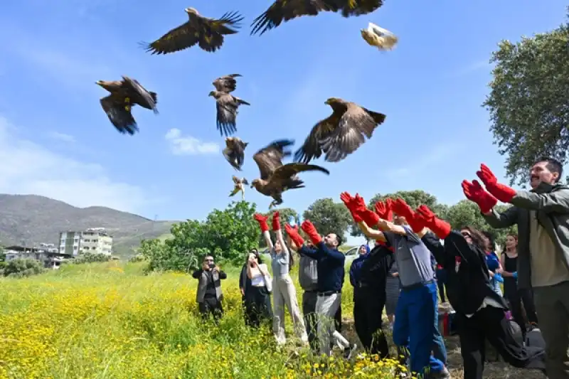 HMKÜ’de Tedavi Edilen Yabani Kuşlar Alahan’da Doğaya Salındı