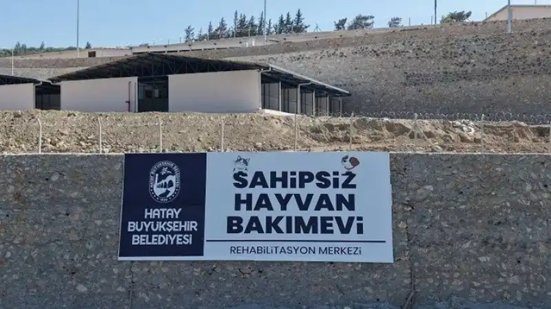 Bu Bakımevi 10 Bin Cana Yuva Olacak!