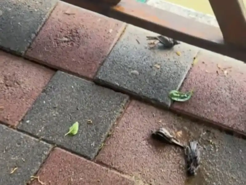 Yağmurun Ardından Yürek Burkan Manzara!