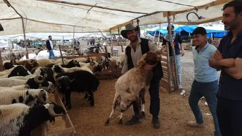 Kurban Pazarında Bayram Hareketliliği