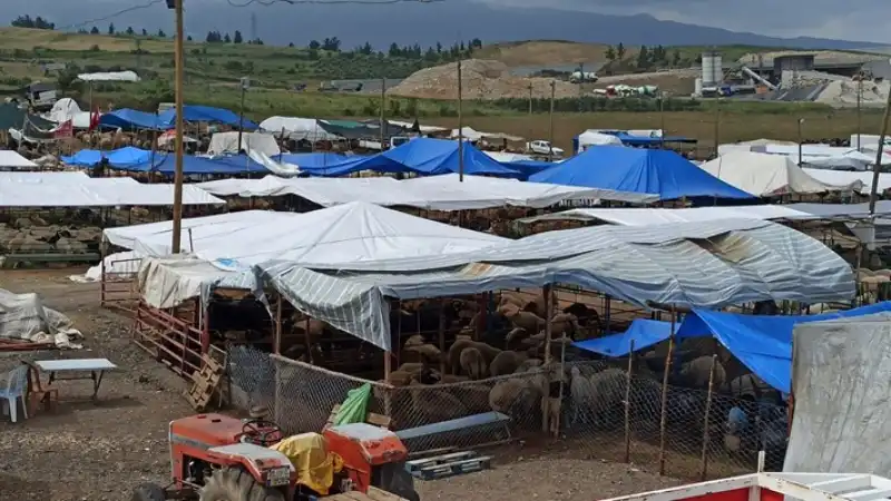 Kurban Pazarında Bayram Hareketliliği