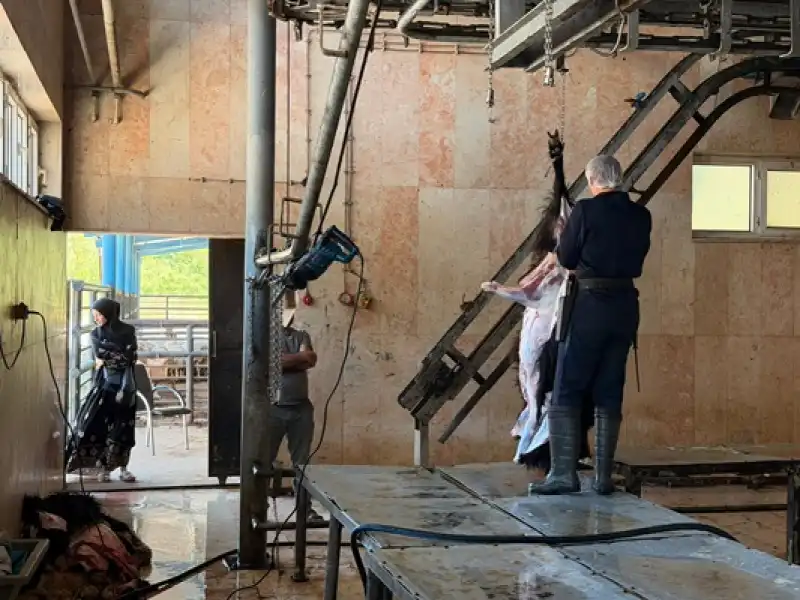 Mezbahaneler, Bayram Boyunca Vatandaşın Hizmetinde