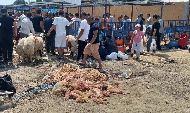 Kurbanlık Derilerinde şok Kayıp: Hem Ekonomi Hem çevre Zarar Görüyor