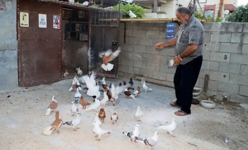 Güvercinler Onun İçin Bir Hobi Değil, Hayatın Parçası