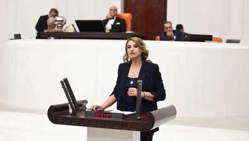 CHP’Lİ Kara: “TMO Bu Yıl Da çiftçinin Sesini Duymadı”